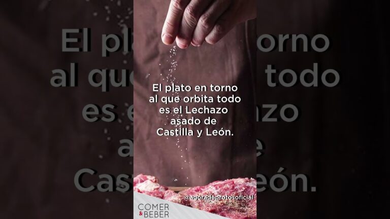 Experiencias Gastron&oacute;micas: Bodegas y Catas de Vinos con Platos Castellanos