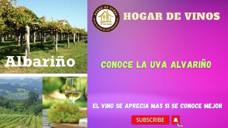 Descubriendo la Frescura de los Vinos Espa&ntilde;oles en R&iacute;as Baixas