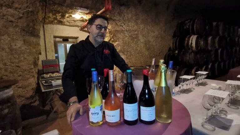 Descubre la Degustaci&oacute;n de Vinos Espa&ntilde;oles en Valdepe&ntilde;as